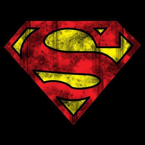Remera Logo Superman - The Wild