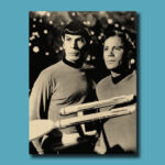 Cuadro Simple Spock and Kirk