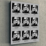 Cuadro Simple Stormtroopers Feelings