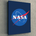 Cuadro Simple Nasa Logo