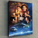 Cuadro Simple Star Trek Voyager Poster