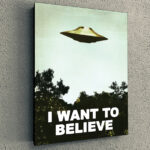 Cuadro Simple I Want to believe