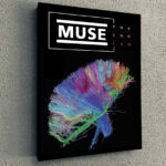 Cuadro Simple Muse 2nd Law