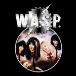 Remeras WASP (5 modelos) - Imagen 8