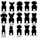 Portacorrea de perro para pared personalizable - Imagen 5