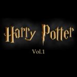 Cuadros Harry Potter vol.1 (4 modelos)