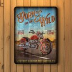 Cuadro Cartel Born to be Wild